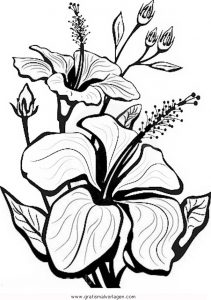 Malvorlage Blumen Hibiskusblute 1