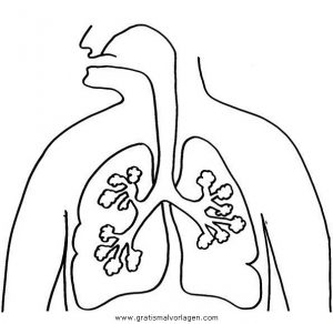 Malvorlage Körper Die Menschliche Lunge