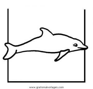 Malvorlage Delfine delphine 32