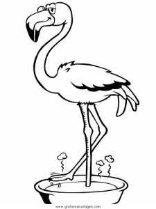 Malvorlage Vögel flamingo