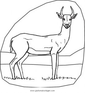 Malvorlage Verschiedene Tiere gazzelle 4