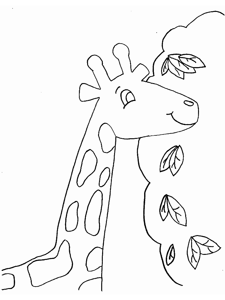 malvorlagen giraffe quest  28 images  malvorlagen