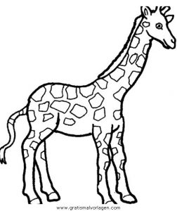 Malvorlage Giraffen giraffen 36
