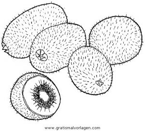 Malvorlage Früchte kiwi