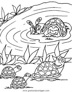 Malvorlage Schildkröten schildkroten 29