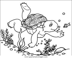 Malvorlage Schildkröten schildkroten 44