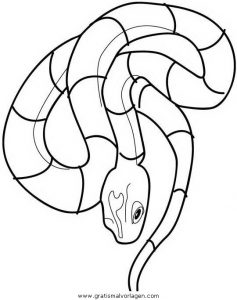 Malvorlage Schlangen schlangen 29