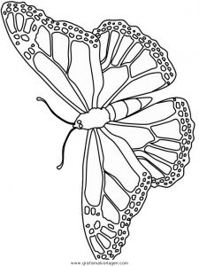 Malvorlage Schmetterlinge schmetterlinge 06
