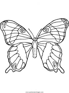 Malvorlage Schmetterlinge schmetterlinge 18