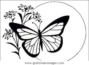 Malvorlage Schmetterlinge schmetterlinge 34