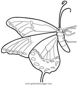 Malvorlage Schmetterlinge schmetterlinge 57