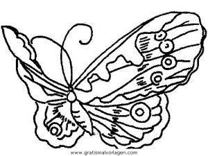 Malvorlage Schmetterlinge schmetterlinge 63
