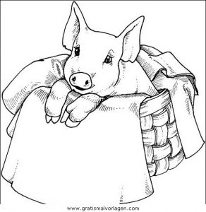 schweine 158 gratis Malvorlage in Schweine, Tiere - ausmalen