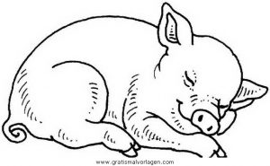 Malvorlage Schweine schweine 170