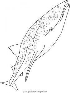 Malvorlage Walfische walfische 23