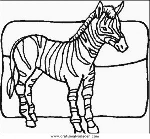 Malvorlage Zebras zebras 54