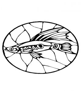 Malvorlage Fische Fische_00255