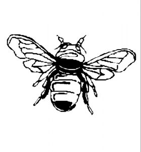 Malvorlage Insekten Insekten_00225