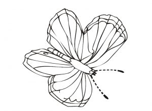 Malvorlage Schmetterlinge Schmetterlinge_00378
