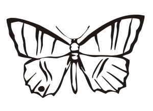Malvorlage Schmetterlinge Schmetterlinge_00401