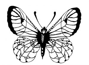 Malvorlage Schmetterlinge Schmetterlinge_00423