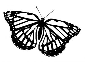 Malvorlage Schmetterlinge Schmetterlinge_00430